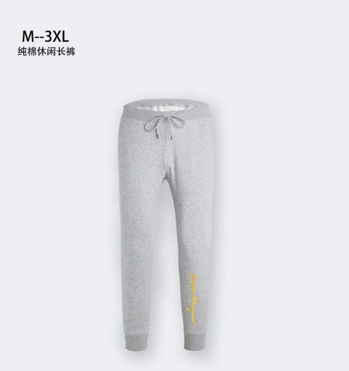 Picture of Ferragamo Pants Long _SKUFerragamoM-3XL1qr0214805